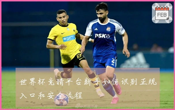 世界杯竞猜平台新手如何识别正规入口和安全流程