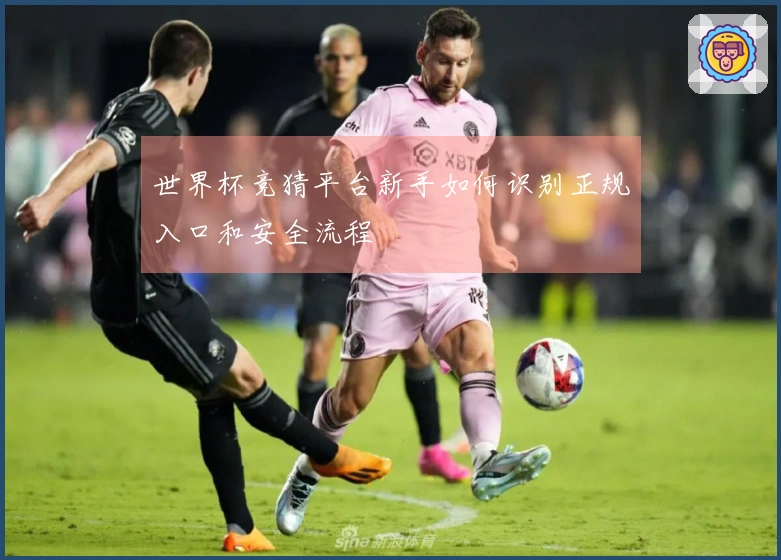 世界杯竞猜平台新手如何识别正规入口和安全流程